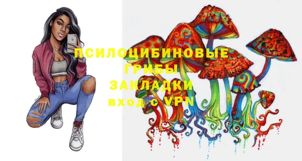 дурь Алексеевка
