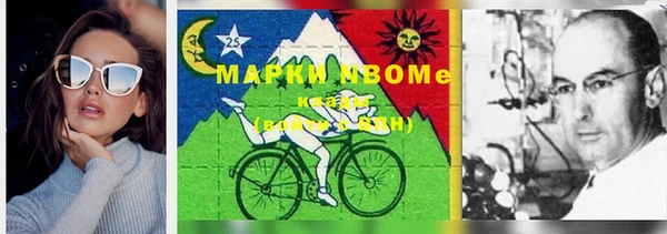 тгк Алзамай