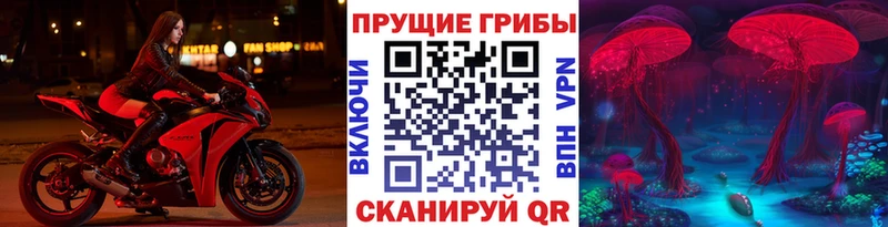 Псилоцибиновые грибы GOLDEN TEACHER  Екатеринбург 